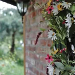 Na Gorniej Lace - Gorny *