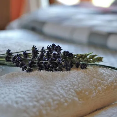 Na Gorniej Lace - Gorny *